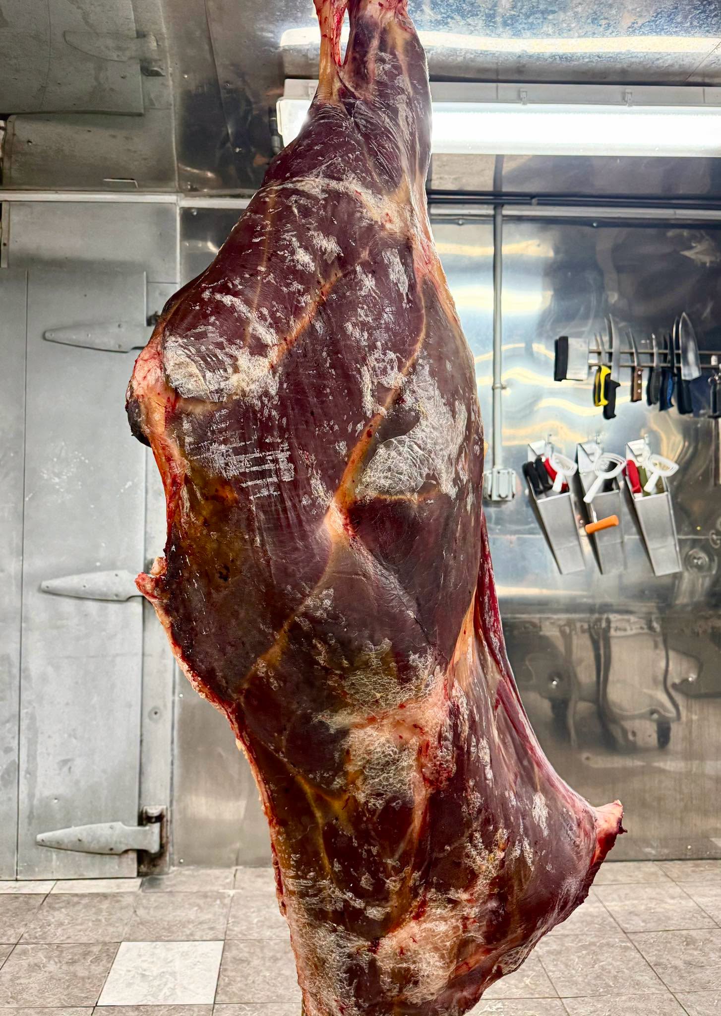 Hanging beef at Harv’s butcher shop, viewed from the outside of the hindquarter